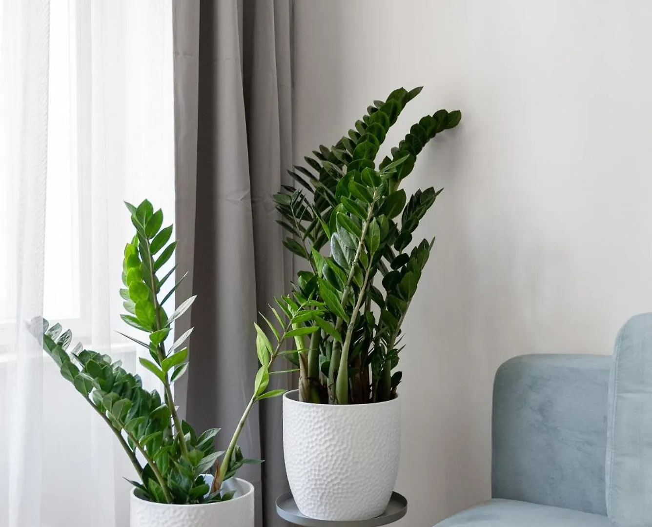 Enjoy Downtown Boutique Apartments #13 By Goodnite Cz Brno